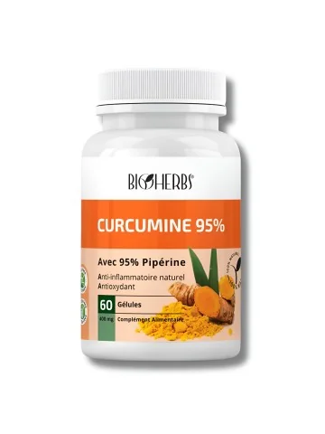 BIOHERBS - CURCUMINE 95% 60...