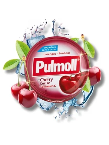 PULMOLL - PASTILLES SANS...