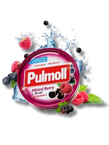 PULMOLL - PASTILLES SANS...
