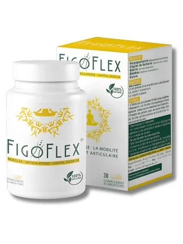 FIGOFLEX 30 GELULES