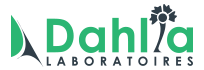 DAHLIA